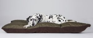 Für den Hund