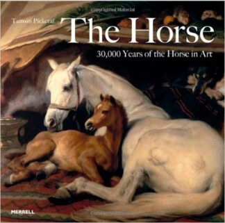 the horse