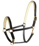 Döbert Lederstallhalfter Stallmeister schwarz-creme