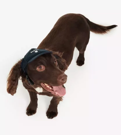Barbour Hundemütze Dog Cap