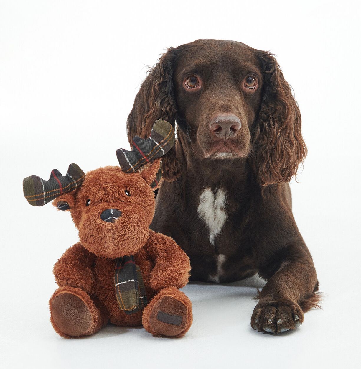 Barbour Hundespielzeug Reindeer